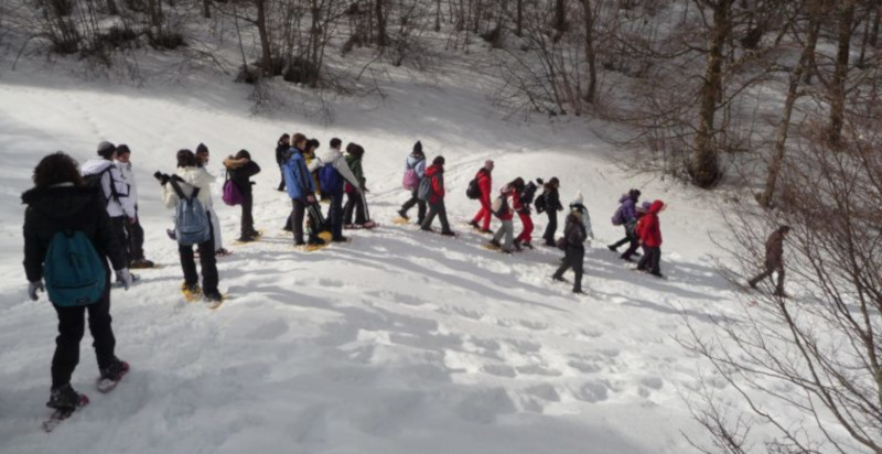 Escursionisti con le ciaspole nei boschi innevati