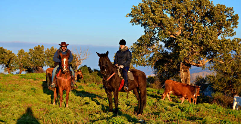 escursioni-jeep-cavallo-madonie