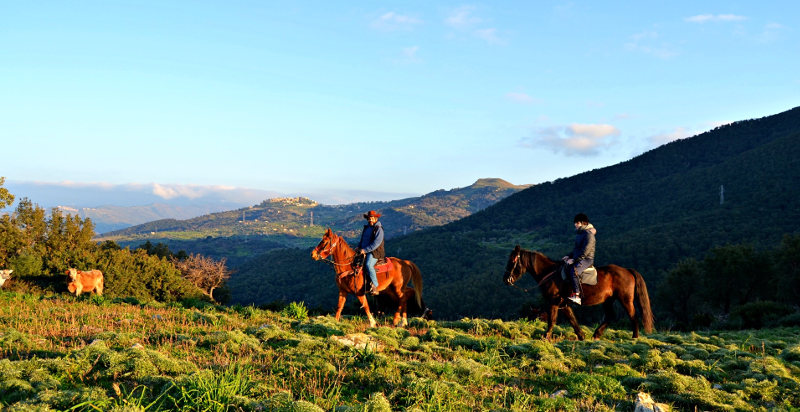escursioni-madonie-cavallo-jeep