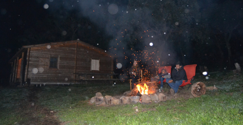 escursioni-madonie-jeep-cavallo