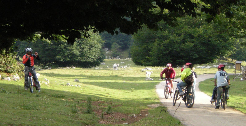 Escursione in mountain bike in Campania: esplora il Vallo di Diano