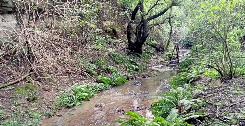 escursioni quad bracciano