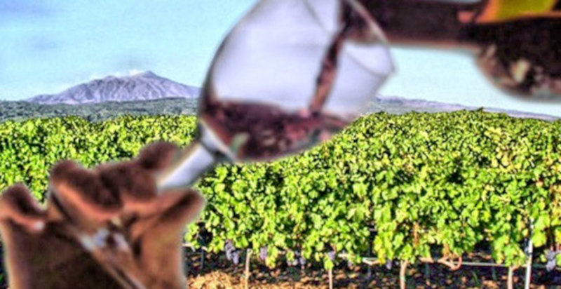 Degustazione di vino ed escursione sull'Etna