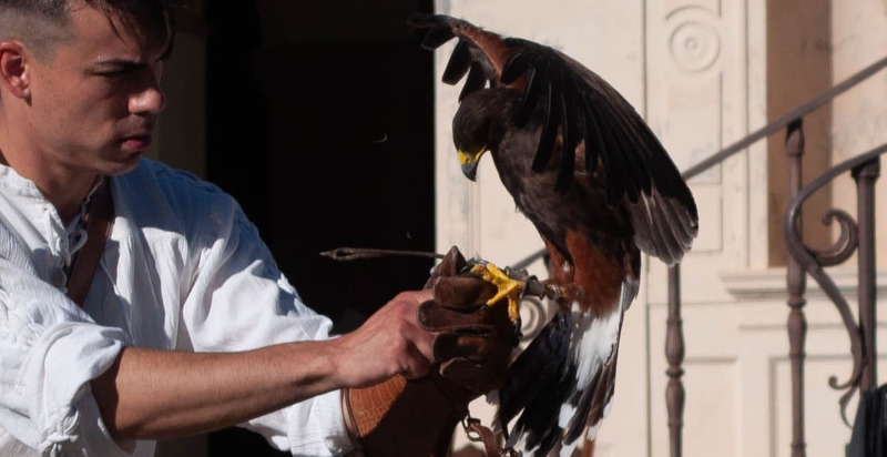 Esperienza di falconeria a Ponte Buggianese, Toscana, con rapaci al guantone
