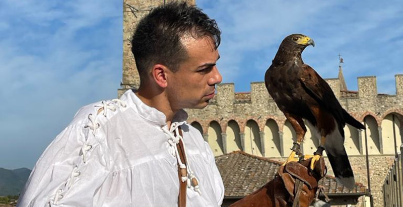 Falco durante un'esperienza di falconeria in Toscana a Ponte Buggianese