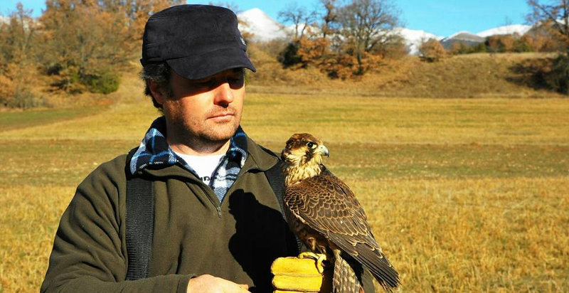 Esperienza di falconeria in Umbria