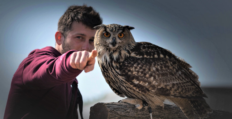 Esperienza ravvicinata con rapaci in Friuli
