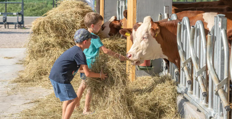 Esperienza educativa per bambini nella fattoria didattica di Arco