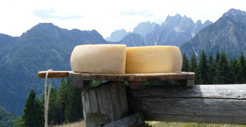 Formaggio di malga Glazzat in provincia di Udine