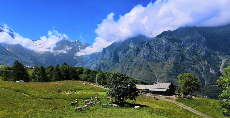 Alpeggio Menzio a Pian Benot in Piemonte