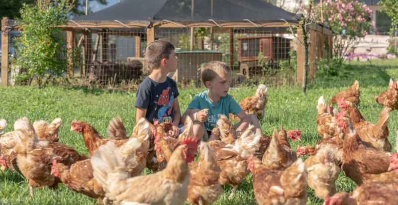 Bambini che accarezzano animali nella fattoria didattica di Arco
