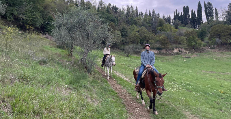 Cavalcata rilassante nella campagna fiorentina