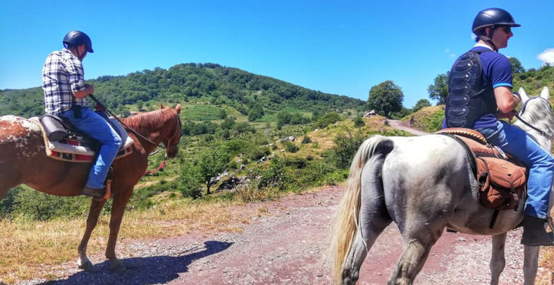Cavalli lungo i sentieri immersi nella natura pistoiese