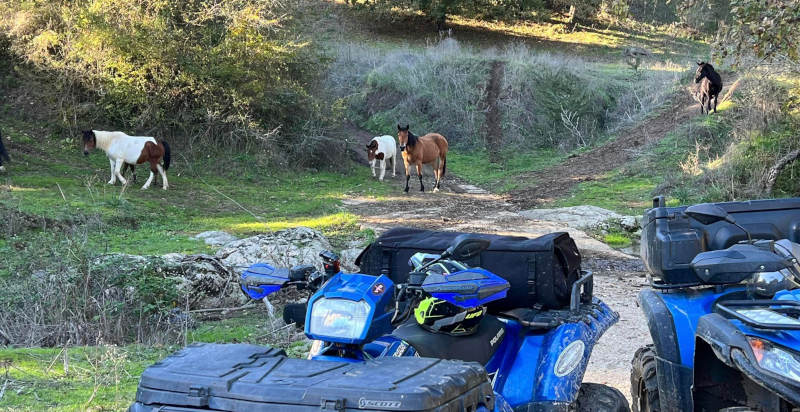 giro in quad bracciano