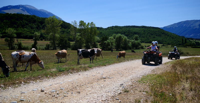 Guida in quad tra i sentieri dell’Abruzzo, tra boschi, borghi e panorami montani spettacolari