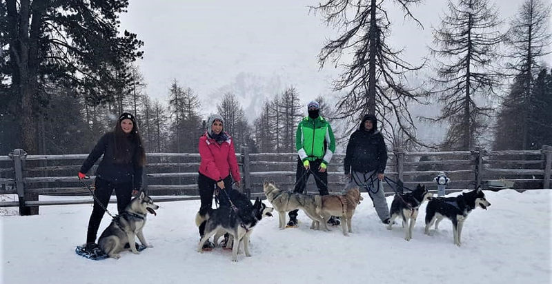 Cani husky sulla neve durante escursione con ciaspole