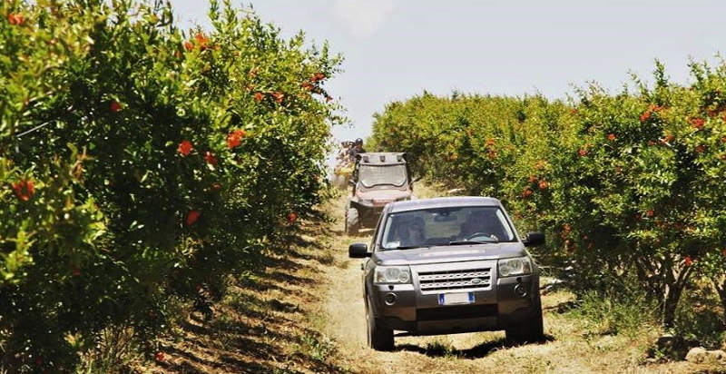 Tour in jeep attraverso il paesaggio della campagna segestana