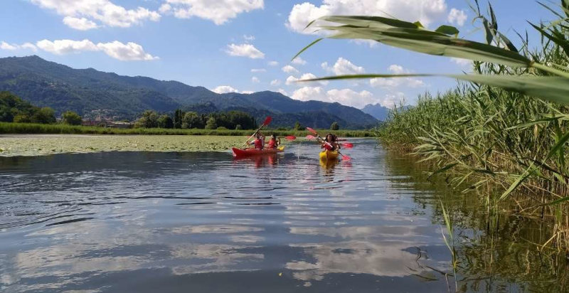 Esperienza di kayak adda immersi nel silenzio e nella natura del Parco Adda Nord