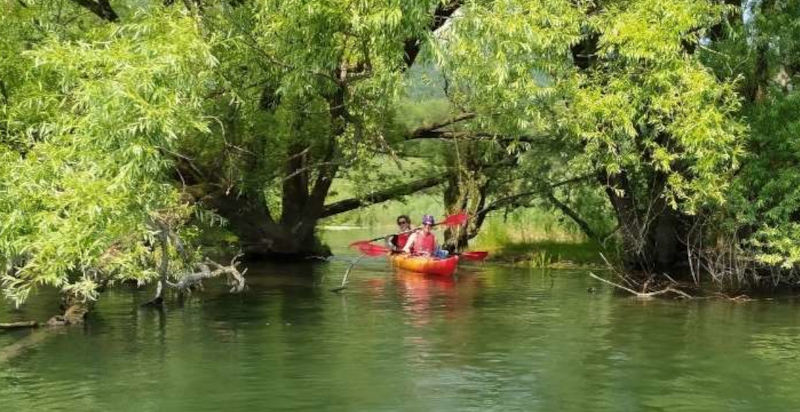 Scivolare in kayak parco dell’adda lungo un meandro del fiume, tra acqua e vegetazione