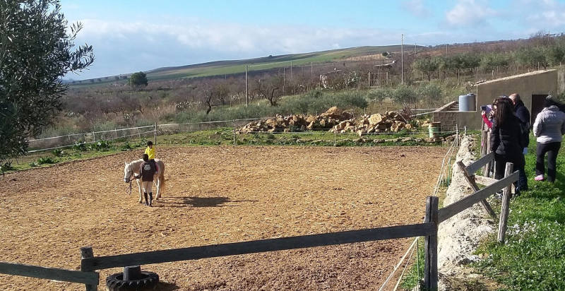 Cavaliere che cavalca un cavallo in un maneggio a Enna