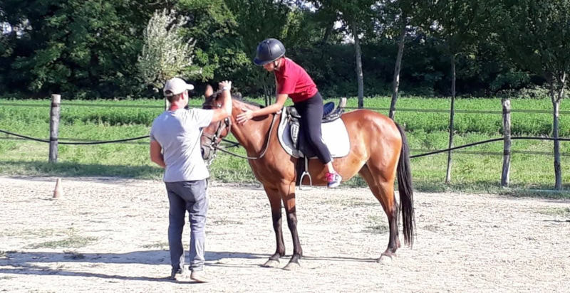 Lezione individuale di equitazione naturale per adulti a Bosaro
