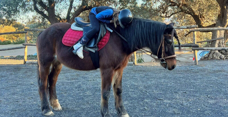 lezione di equitazione - ragazza sul cavallo
