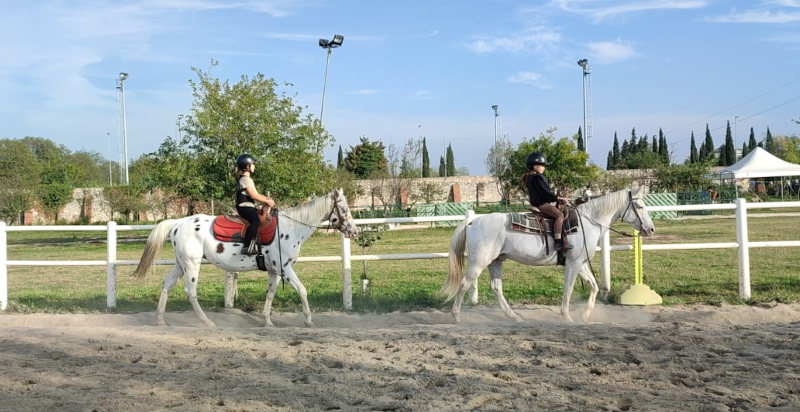 Imparare a cavalcare a Verona, lezione di equitazione