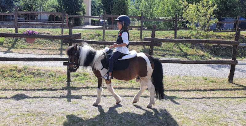 Esperienza a cavallo nella natura della Val Noveglia, ideale per principianti