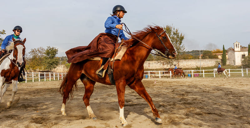 Lezione di equitazione a Verona, galoppo e trotto