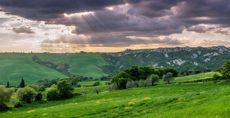 Mistery tour detective per un giorno