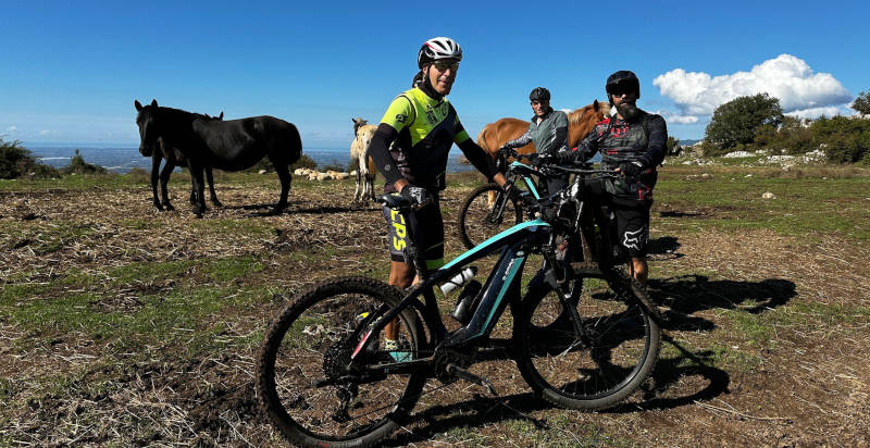 Noleggio e-bike professionale con caschetto e portatelefono inclusi