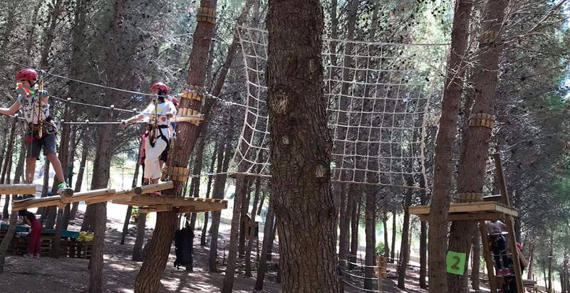 Esperienza di avventura nel parco vicino a Trapani
