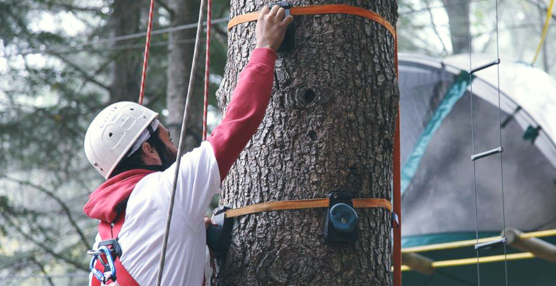 Arrampicata sugli alberi nel Parco Avventura delle Madonie