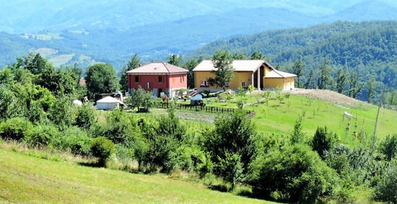 Vista panoramica dalla yurta tra boschi e montagne