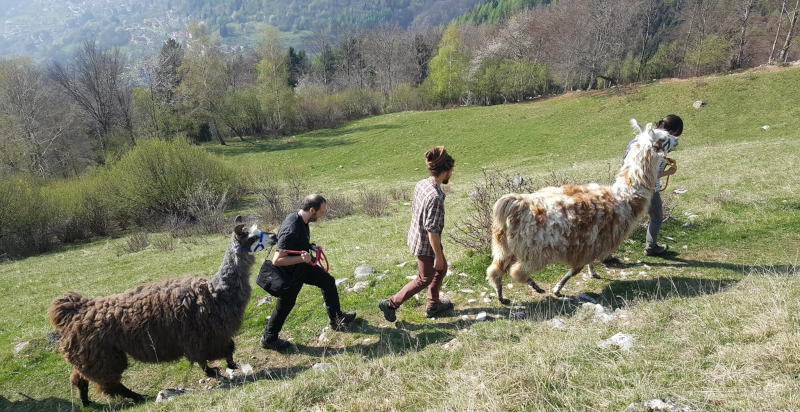 Escursione lama Blessagno Lombardia