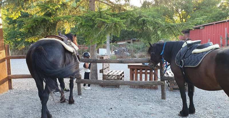 Attività per bambini: passeggiata a cavallo immersi nella natura della Val Noveglia