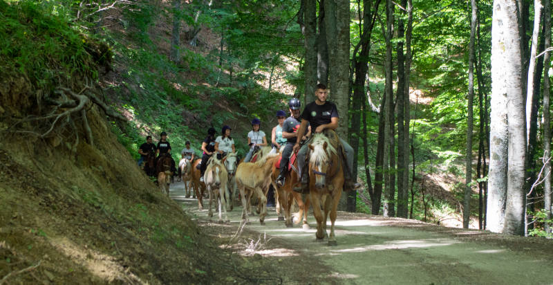 Passeggiata a cavallo nei boschi di Rocca Santa Maria in Abruzzo