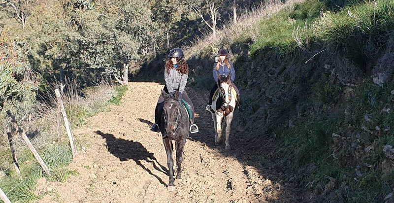  Guida esperta che accompagna i partecipanti durante la passeggiata a cavallo a Enna