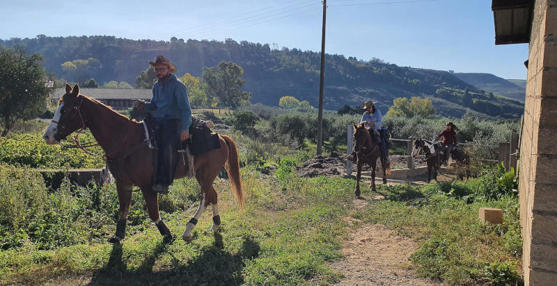 Passeggiata a cavallo attraverso le campagne siciliane vicino all'agriturismo Il Mandorleto