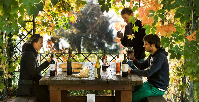 Passeggiata a cavallo a Firenze seguita da una degustazione di vino pregiato nelle colline toscane