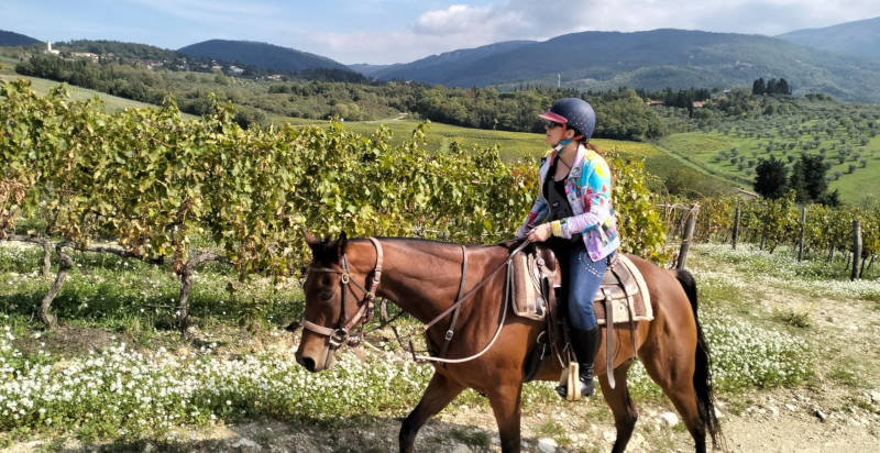 Passeggiata a cavallo tra le colline fiorentine