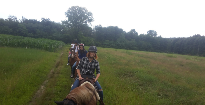 passeggiata-a-cavallo-lombardia-varese