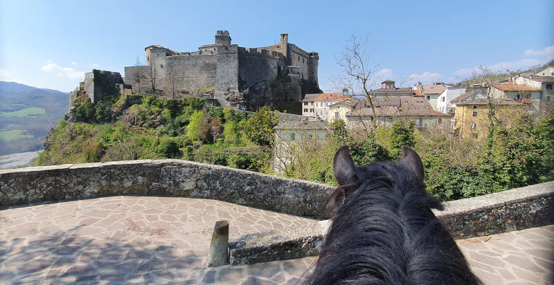 Esperienza a cavallo immersa nei paesaggi della Val Noveglia