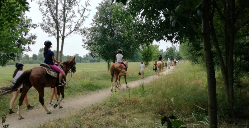 Passeggiata a cavallo su un sentiero collinare nel Parco dell'Adige