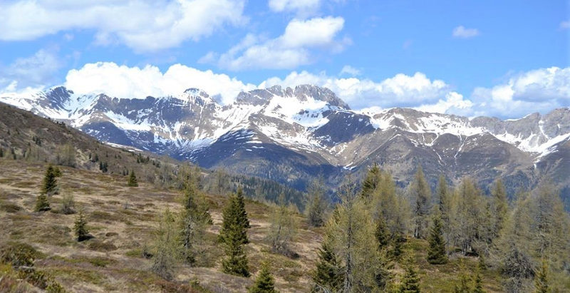 passeggiata-belluno-cani