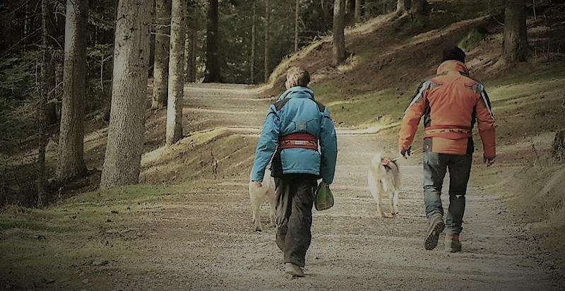 passeggiata-cani-belluno