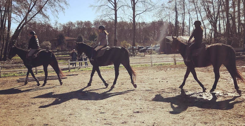 Passeggiata a cavallo tra le colline e i paesaggi naturali della Toscana