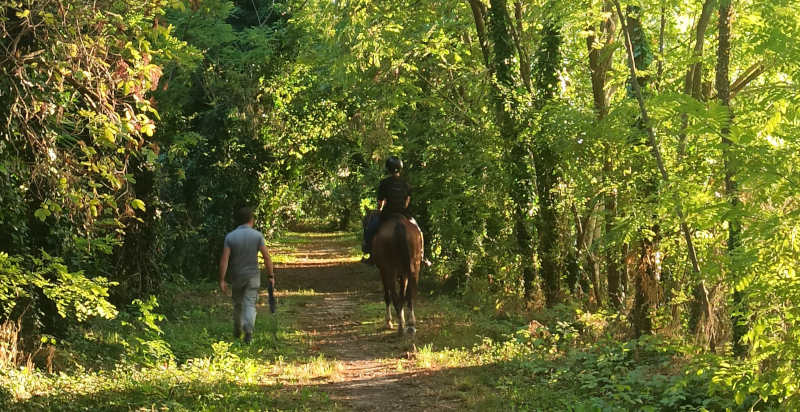 Passeggiata a cavallo nel verde della Pianura Padana, Bosaro, Rovigo