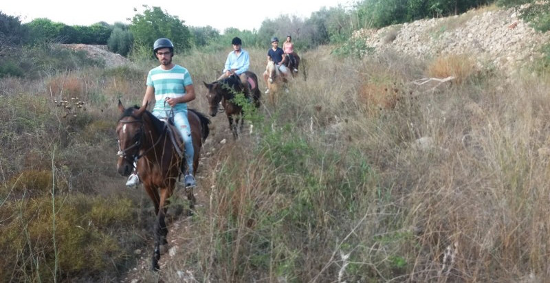 passeggiata-cavallo-siracusa-sicilia