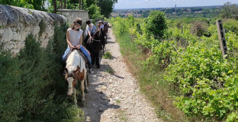 Passeggiata a cavallo nelle campagne del veronese